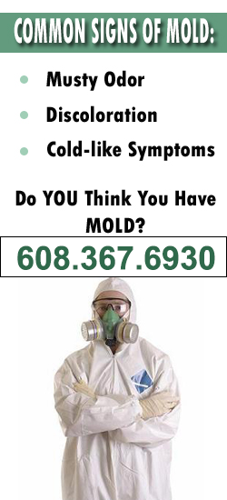 Janesville Mold Remediation Contractor